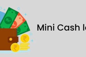 Mini Loans